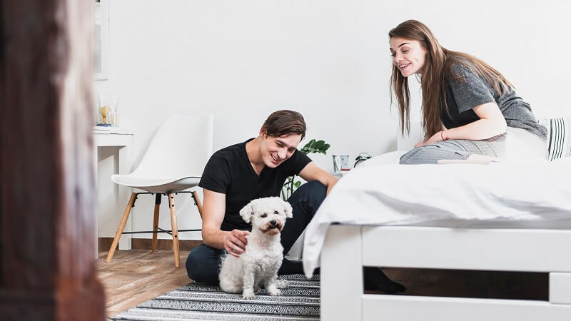 Making Your Apartment Comfortable for Your Pet