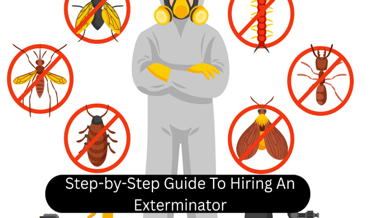 Step-by-Step Guide To Hiring An Exterminator